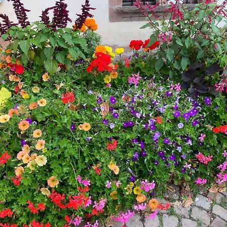 Prázdninový dům Vacances Centre Kaysersberg-Vignoble