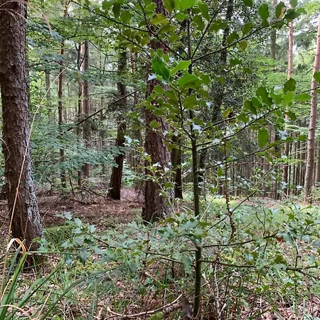 Prázdninový dům Vacances Centre